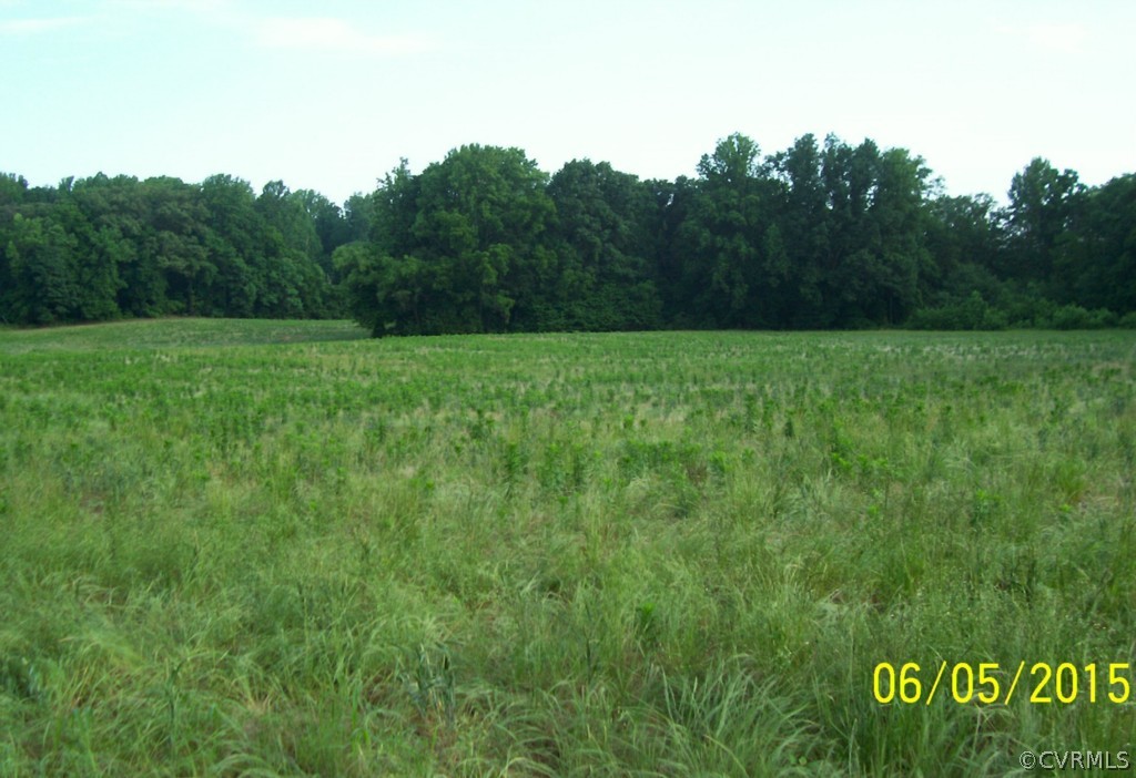 2337 West River Road Aylett, VA 23009 - Photo 3 of 3 Gallery Image 3