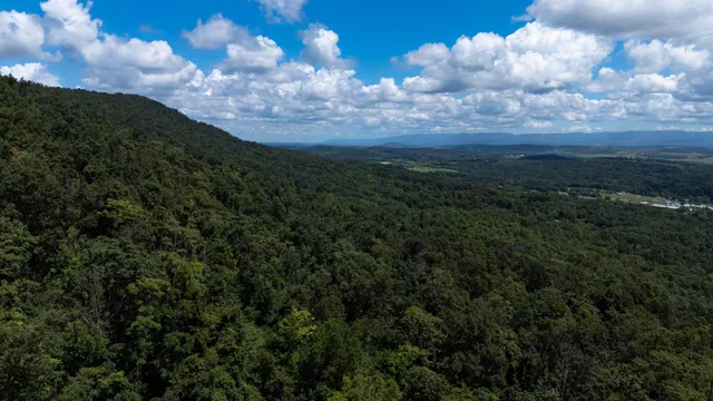 a view of a city with lush green forest