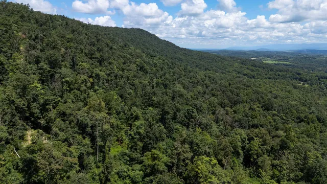 a view of a big yard with lots of green space