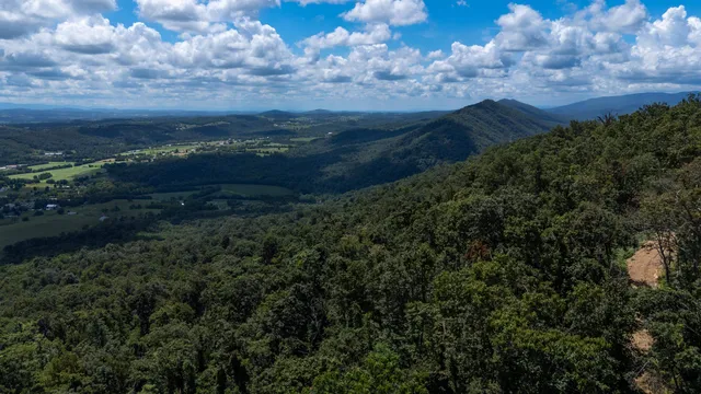 a view of outdoor space and green space