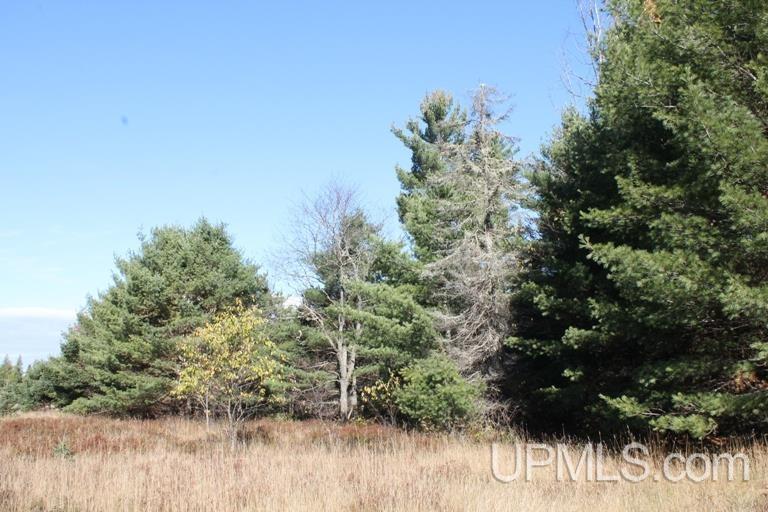 Tbd Missouri Rd - Co Rd 565, Unit LAT 46 31633 LON 87 5822 Gwinn, MI 49841 - Photo 11 of 30