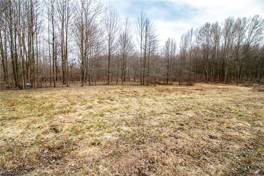 5610 Leon Road Andover, OH 44003 - Photo 12 of 30 Gallery Image 12