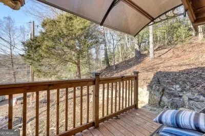 a view of a yard with plants and trees
