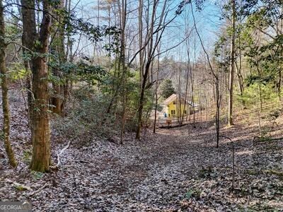 39 Shady Crk Ridge Marble, NC 28905 - Photo 36 of 64 a view of a yard with plants and trees