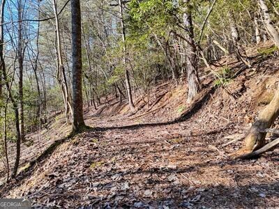 39 Shady Crk Ridge Marble, NC 28905 - Photo 37 of 64 a view of a yard with a tree