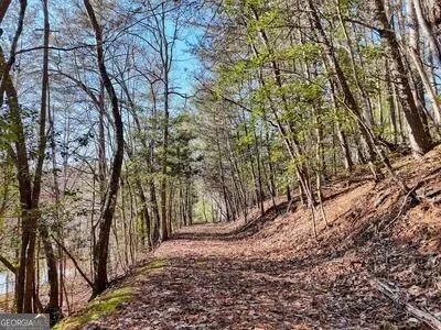 a view of green field with trees in the background