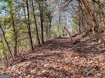 39 Shady Crk Ridge Marble, NC 28905 - Photo 40 of 64 a backyard of a house with lots of green space