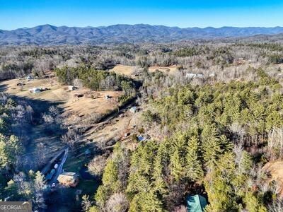 39 Shady Crk Ridge Marble, NC 28905 - Photo 44 of 64