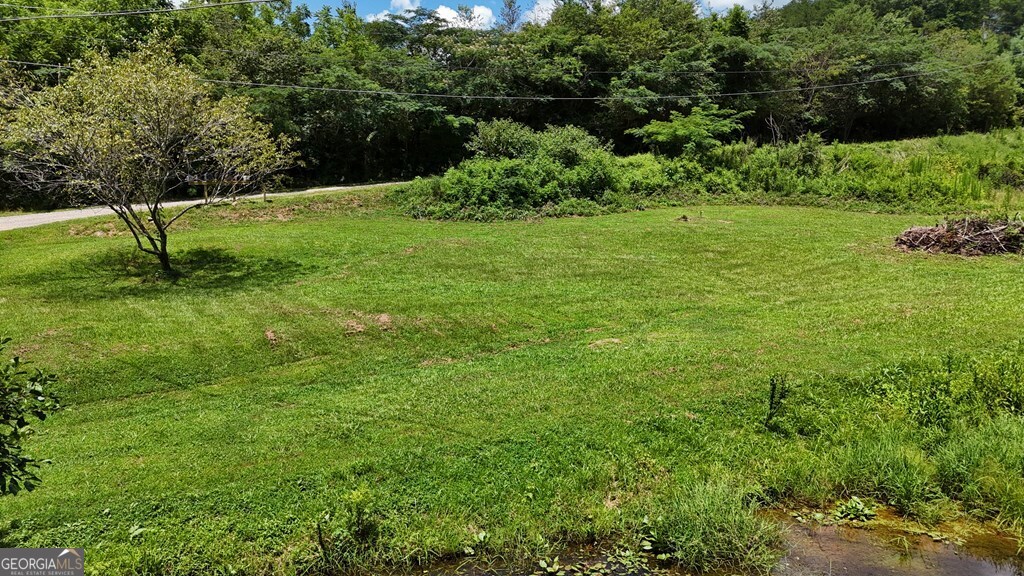 39 Shady Crk Ridge Marble, NC 28905 - Photo 51 of 64 a view of green field with trees in the background
