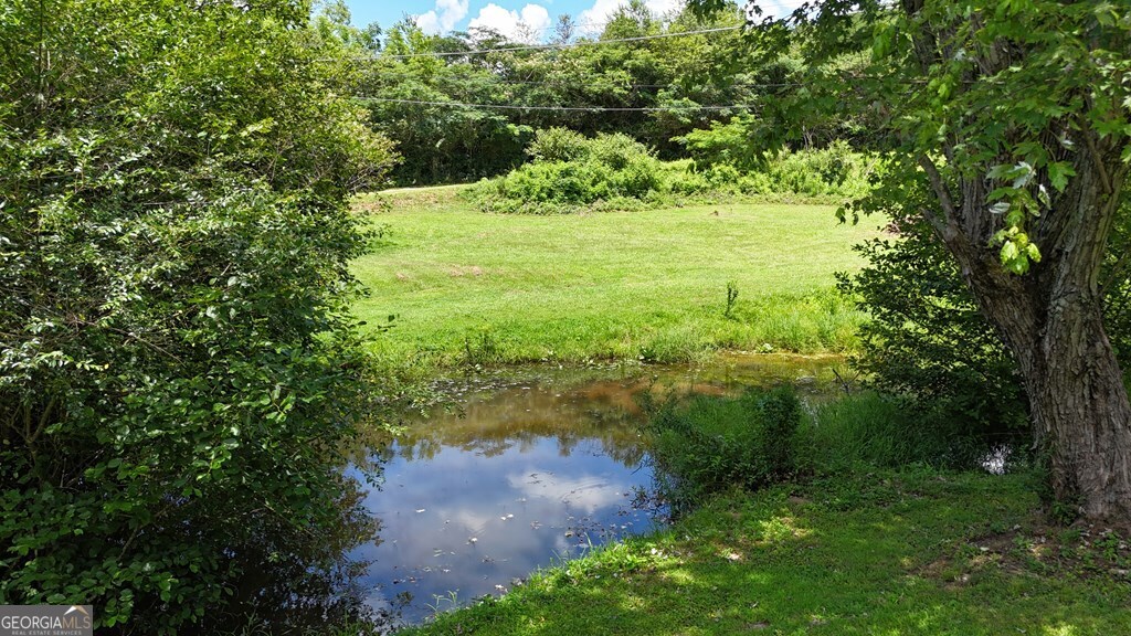 39 Shady Crk Ridge Marble, NC 28905 - Photo 52 of 64 a view of a garden with a tree