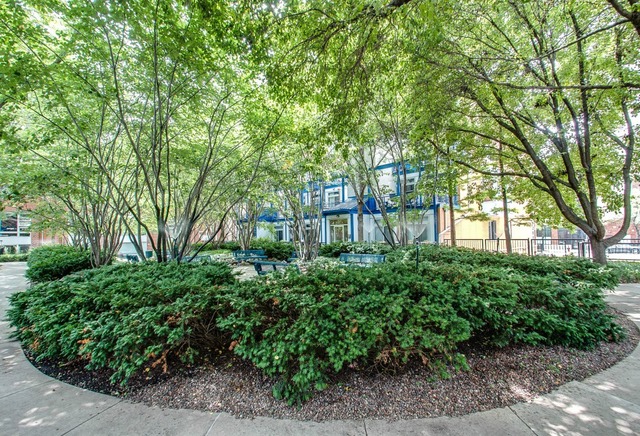 1151 West Washington Boulevard, Unit 141 Chicago, IL 60607 - Photo 16 of 17