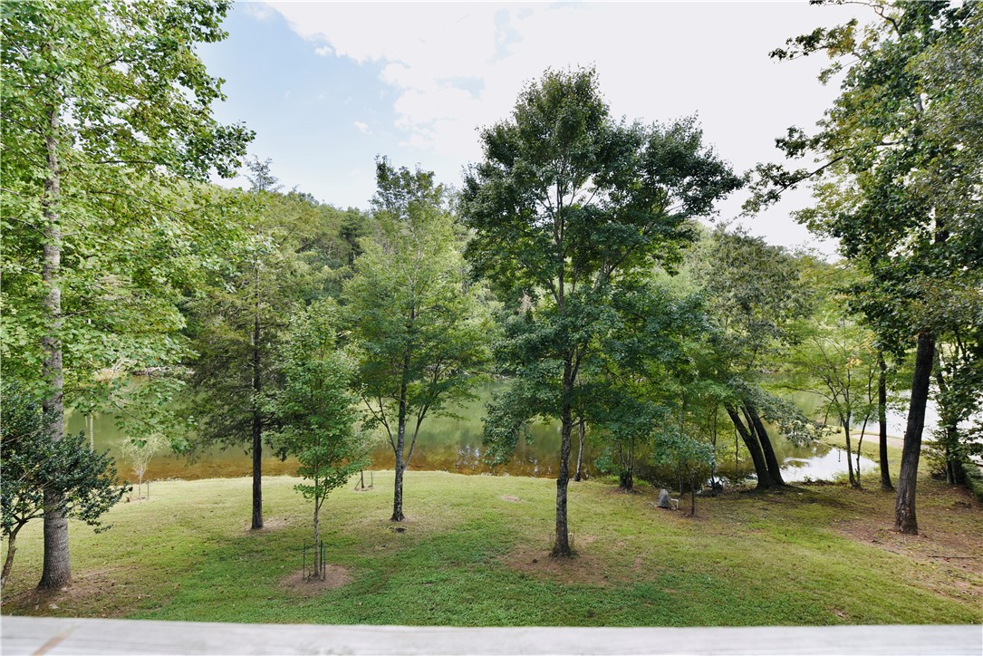 138 Springlake Road Six Mile, SC 29682 - Photo 11 of 45