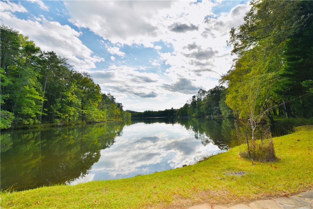 138 Springlake Road Six Mile, SC 29682 - Photo 2 of 45