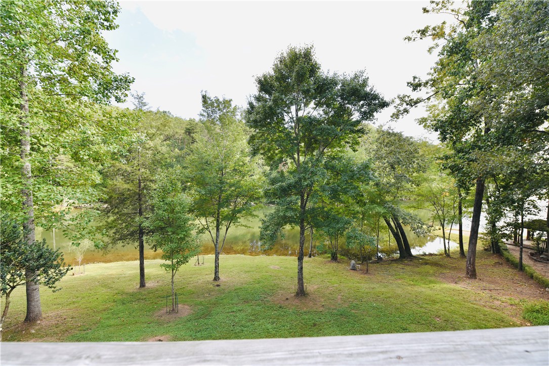 138 Springlake Road Six Mile, SC 29682 - Photo 10 of 45