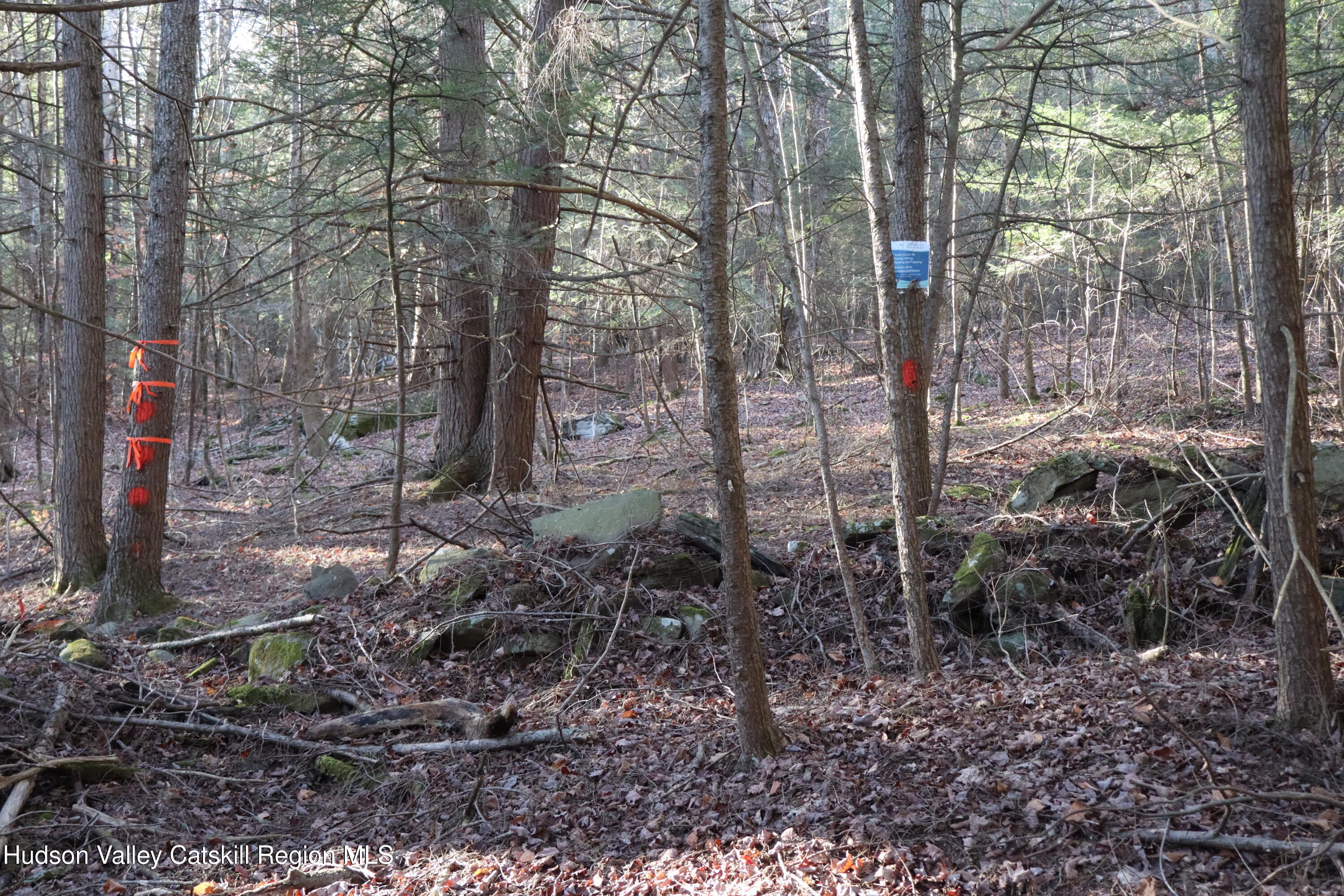 Tbd Hall Road, Unit PRIVATE ACCESS Arkville, NY 12406 - Photo 20 of 28 IMG_2149