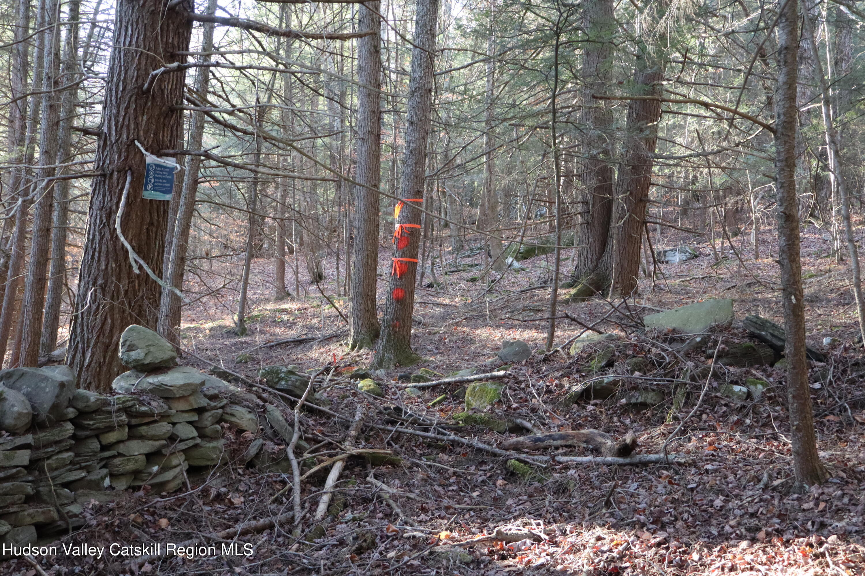 Tbd Hall Road, Unit PRIVATE ACCESS Arkville, NY 12406 - Photo 21 of 28 IMG_2148