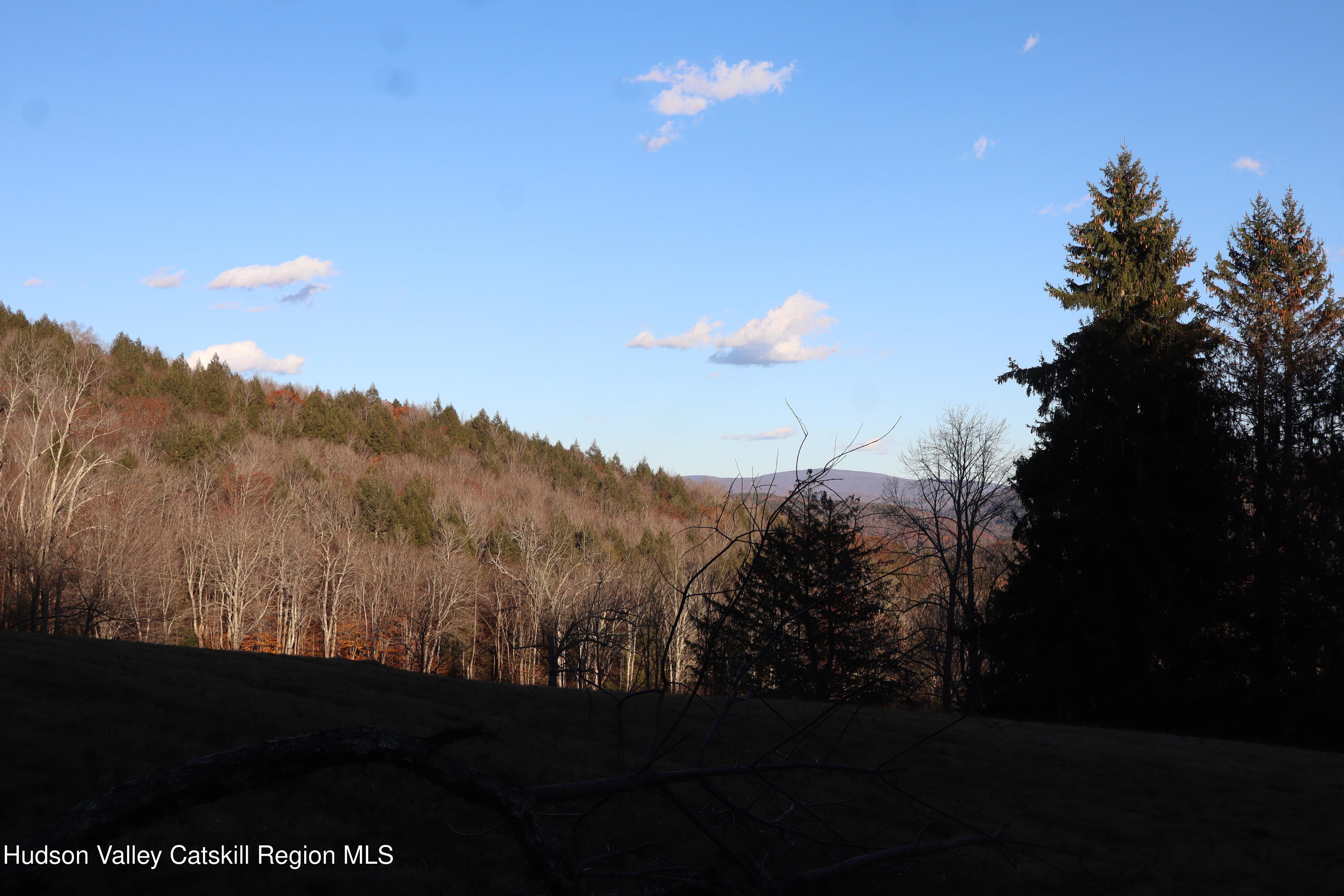 Tbd Hall Road, Unit PRIVATE ACCESS Arkville, NY 12406 - Photo 27 of 28 IMG_2161