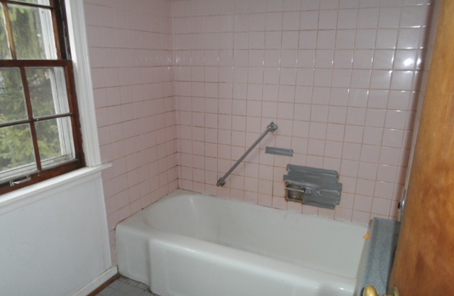 1446 Linden Road Homewood, IL 60430 - Photo 10 of 12 a bathroom with a bathtub