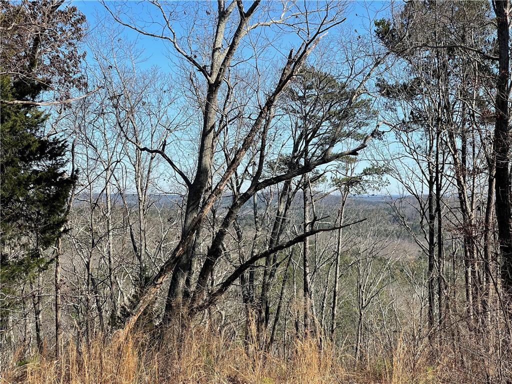 A Johnson Lake Road, Unit 0A Cedartown, GA 30125 - Photo 5 of 19 a backyard of a house with lots of green space