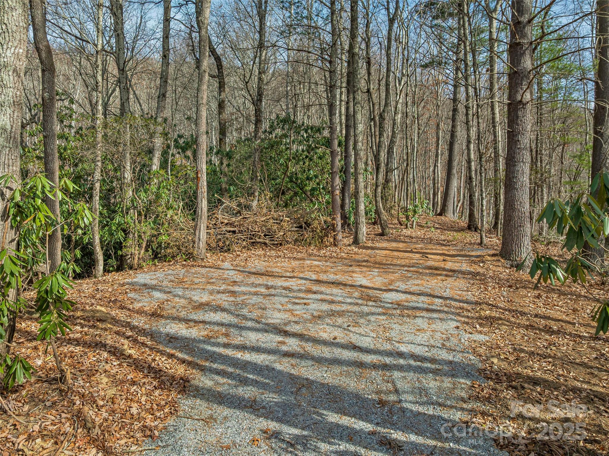 9999-13 Bob Barnwell Road Asheville, NC 28803 - Photo 11 of 24 a view of backyard with green space