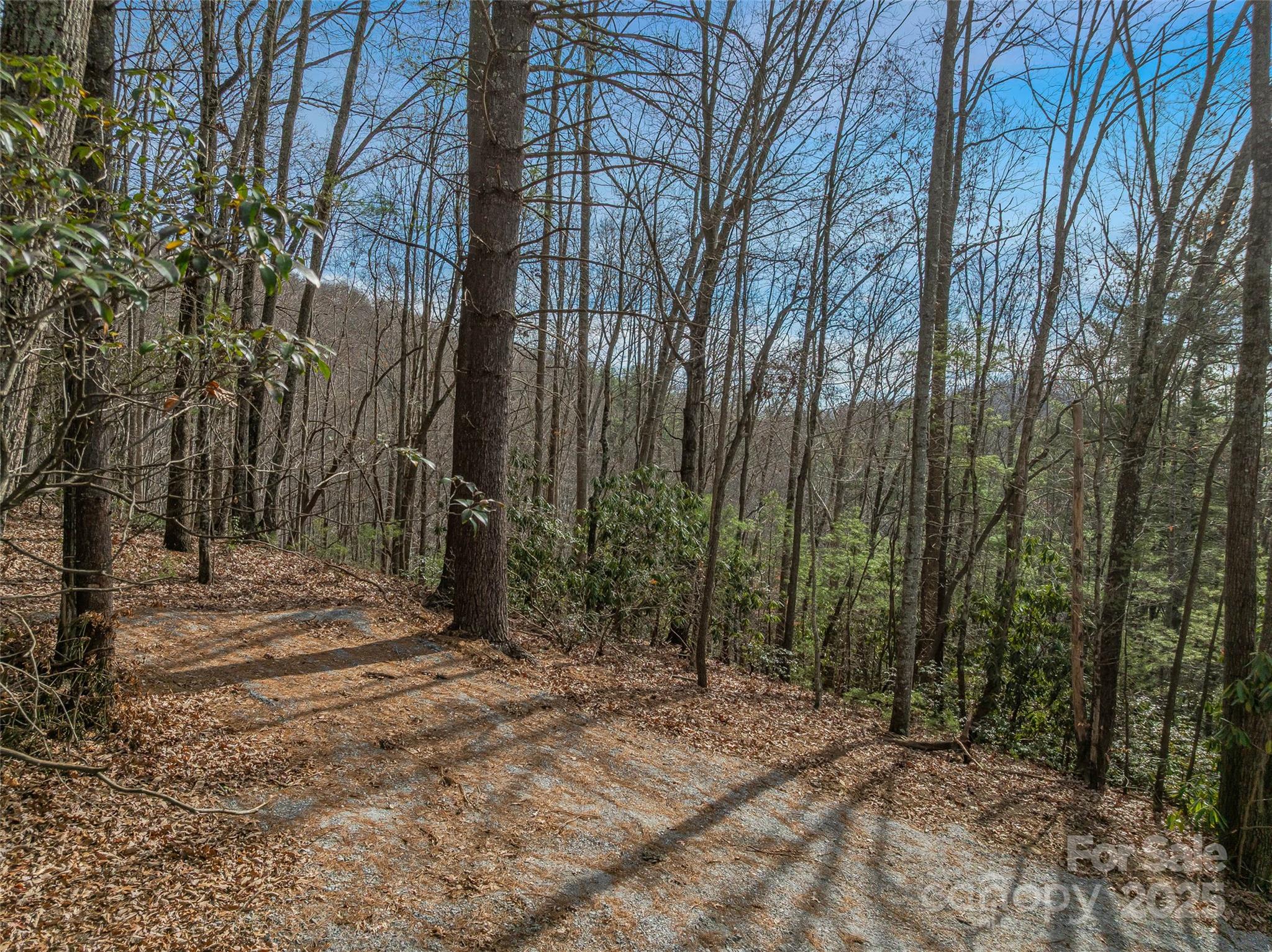 9999-13 Bob Barnwell Road Asheville, NC 28803 - Photo 12 of 24 a view of a yard with trees