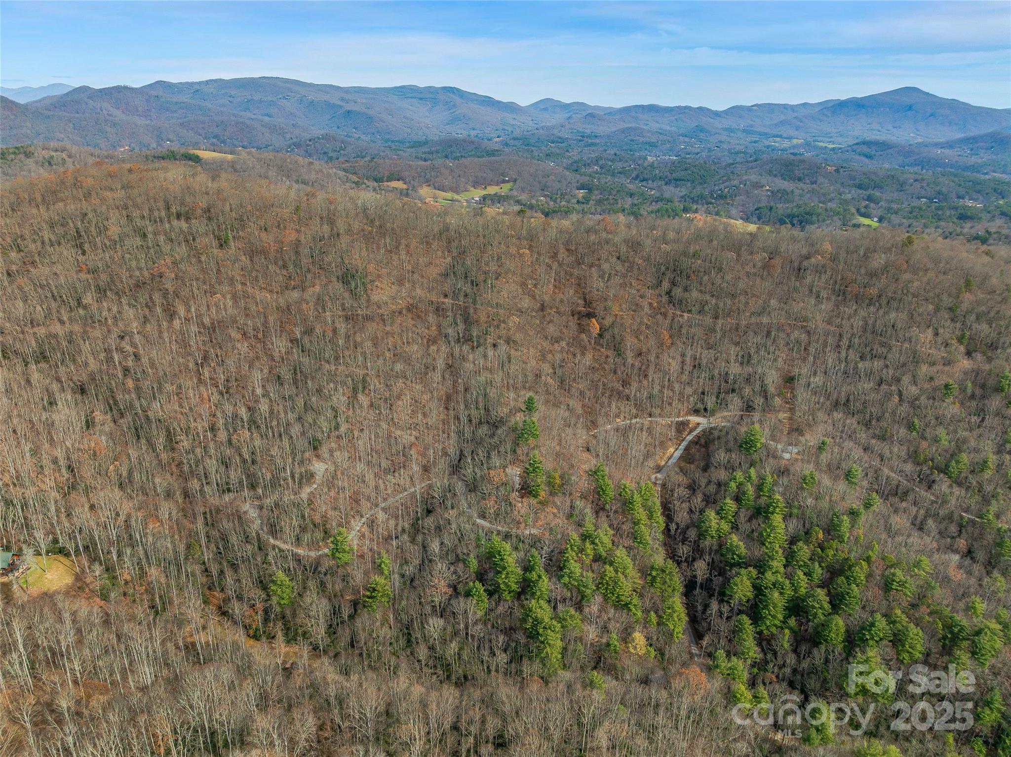 9999-13 Bob Barnwell Road Asheville, NC 28803 - Photo 13 of 24 a view of a forest with mountains in the background