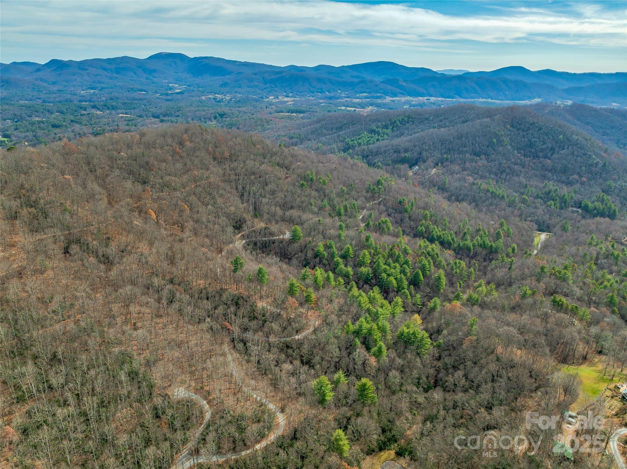 9999-13 Bob Barnwell Road Asheville, NC 28803 - Photo 14 of 24 a view of a mountain in the distance tree