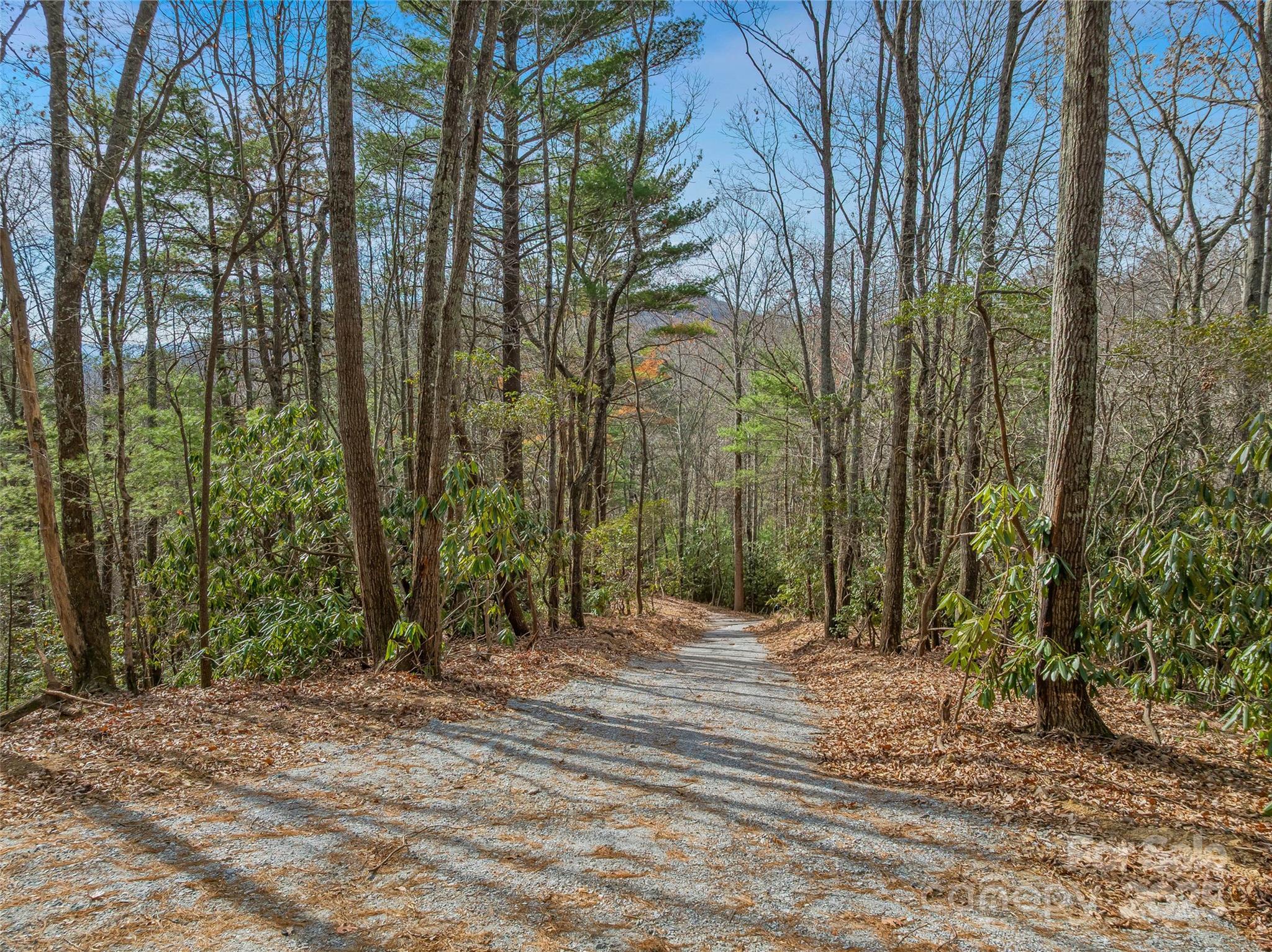 9999-13 Bob Barnwell Road Asheville, NC 28803 - Photo 16 of 24 a view of backyard space and trees