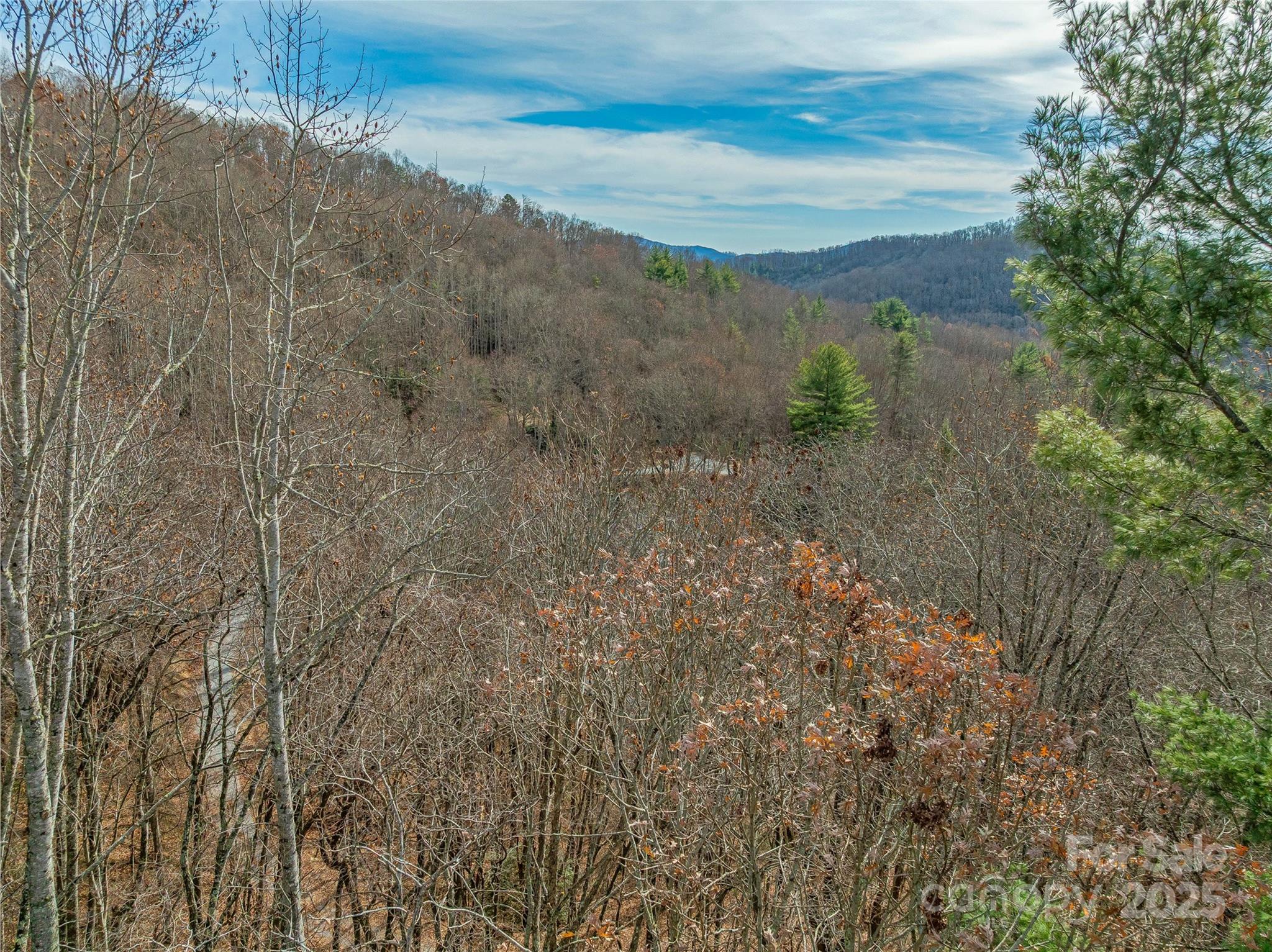9999-13 Bob Barnwell Road Asheville, NC 28803 - Photo 19 of 24 a view of a yard with an trees