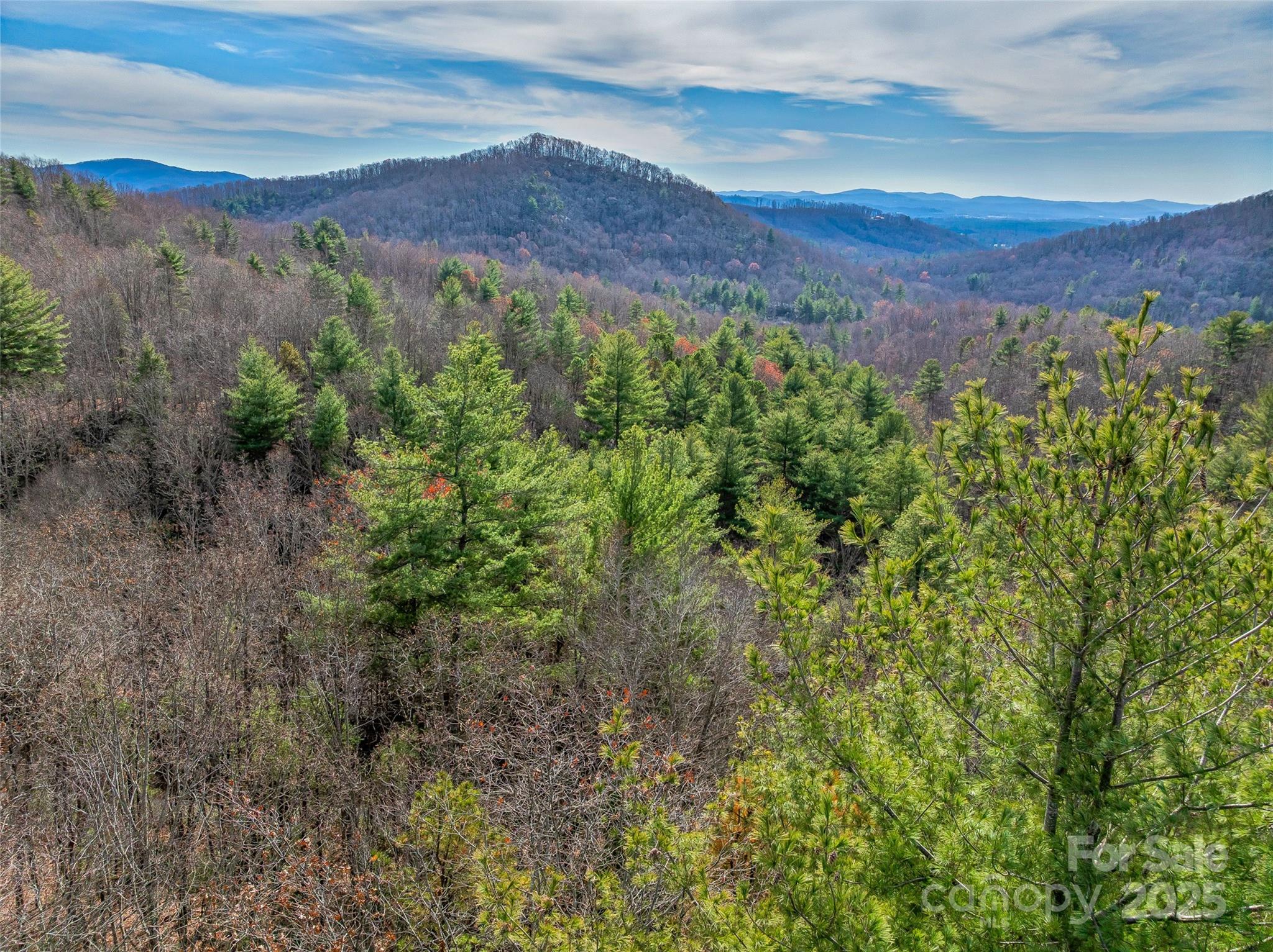 9999-13 Bob Barnwell Road Asheville, NC 28803 - Photo 20 of 24 a view of a lush green forest with trees in the background