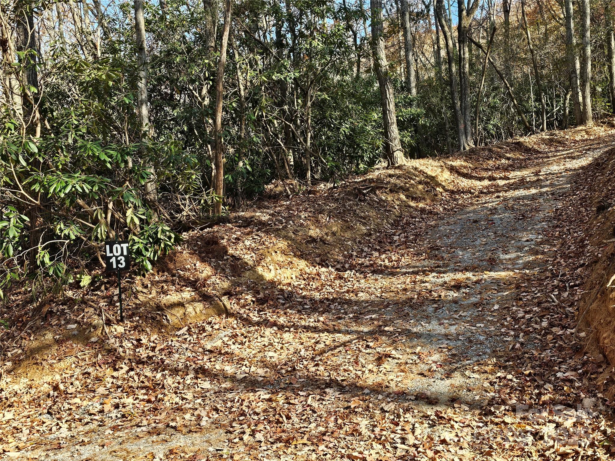 9999-13 Bob Barnwell Road Asheville, NC 28803 - Photo 2 of 24 a view of a yard with plants and trees