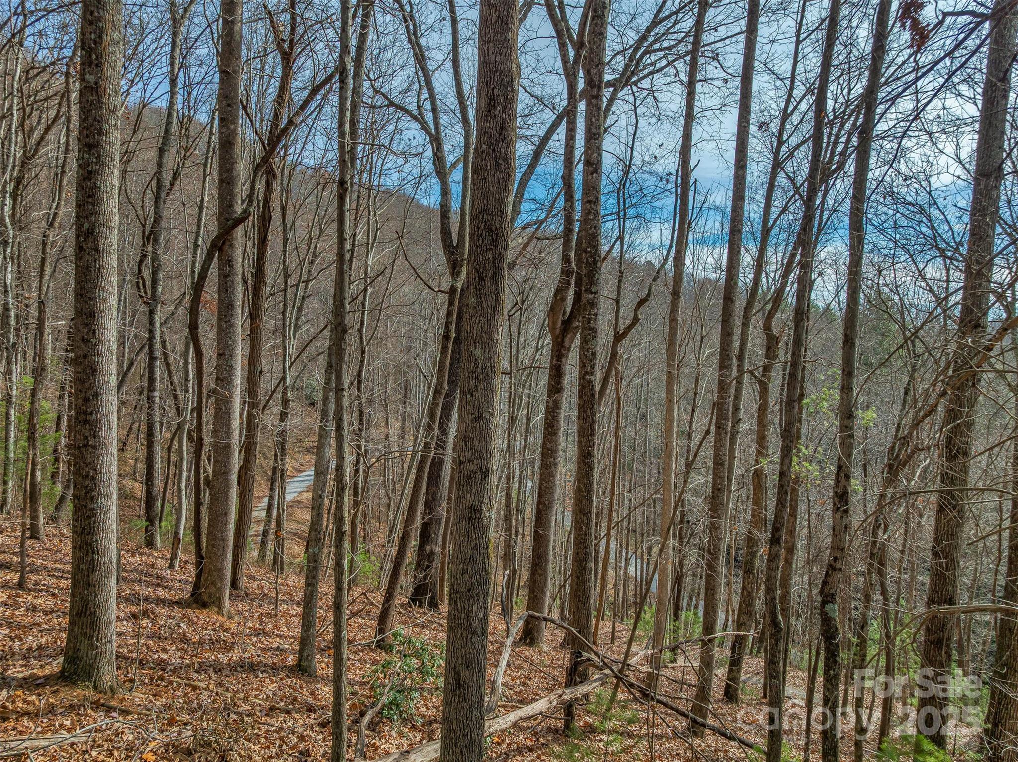 9999-13 Bob Barnwell Road Asheville, NC 28803 - Photo 22 of 24 a view of a backyard of the house