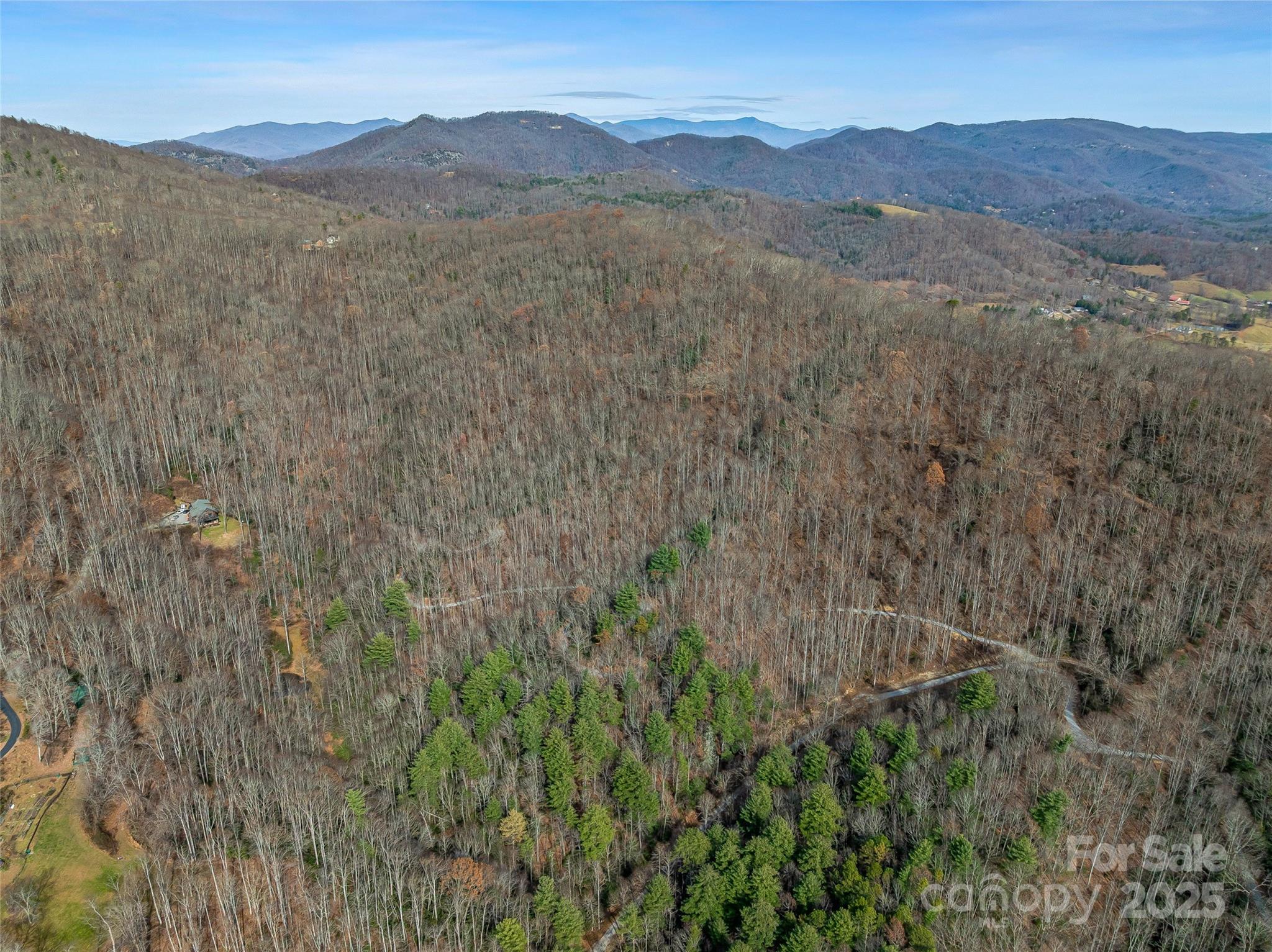 9999-13 Bob Barnwell Road Asheville, NC 28803 - Photo 23 of 24 a view of a mountain range with trees in the background