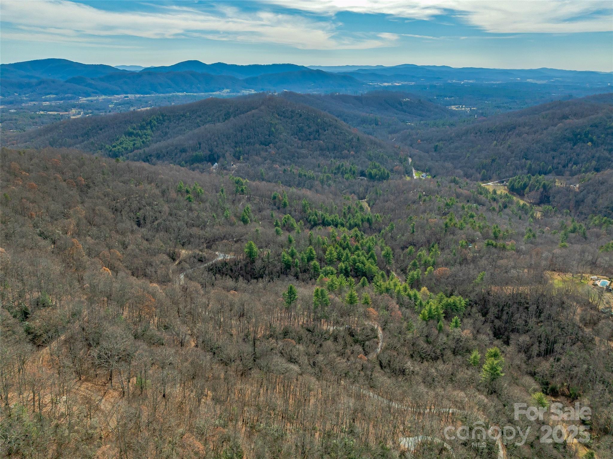 9999-13 Bob Barnwell Road Asheville, NC 28803 - Photo 24 of 24 a view of a mountain in the distance