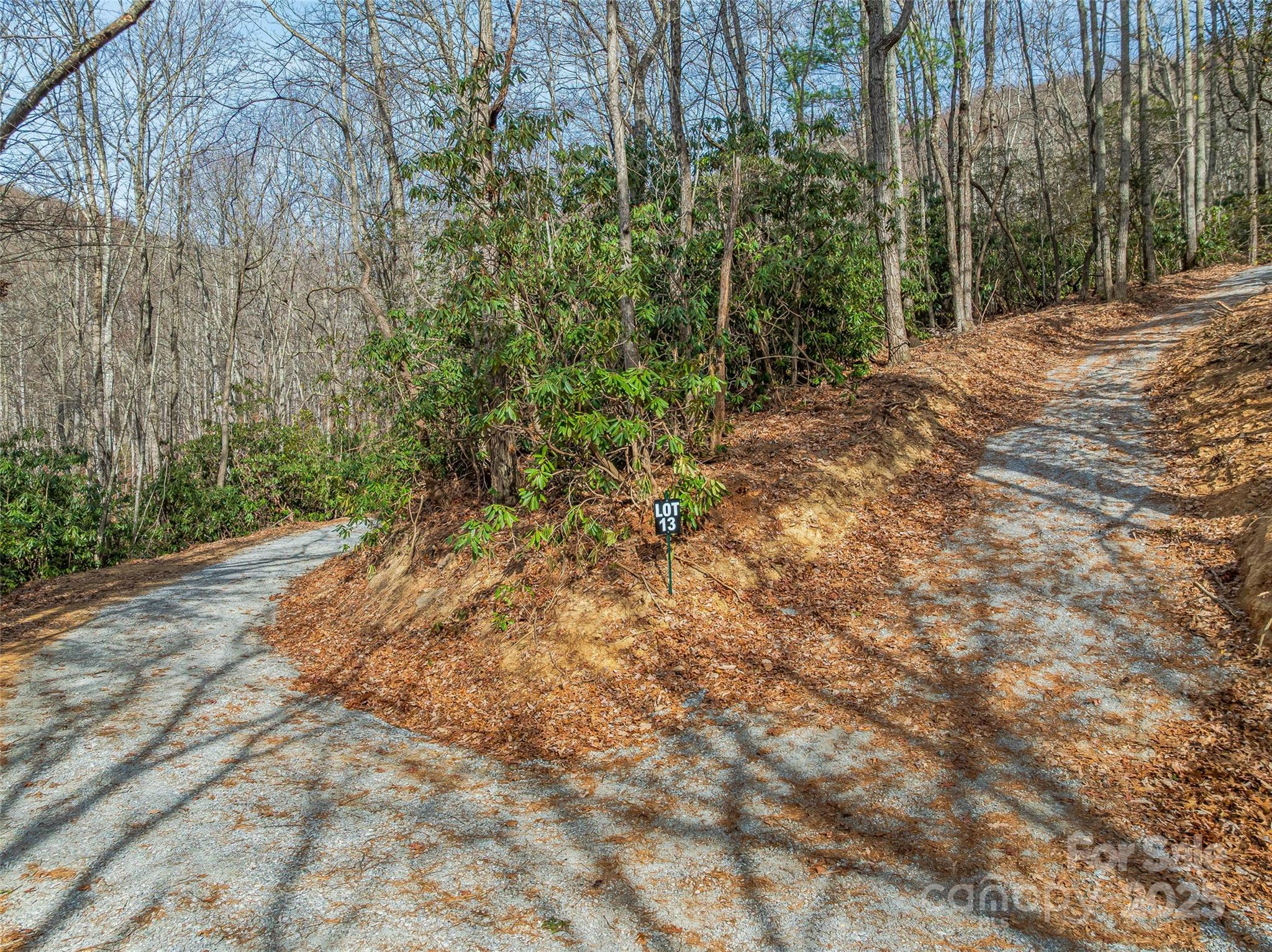 9999-13 Bob Barnwell Road Asheville, NC 28803 - Photo 8 of 24 a view of a yard with plants and trees