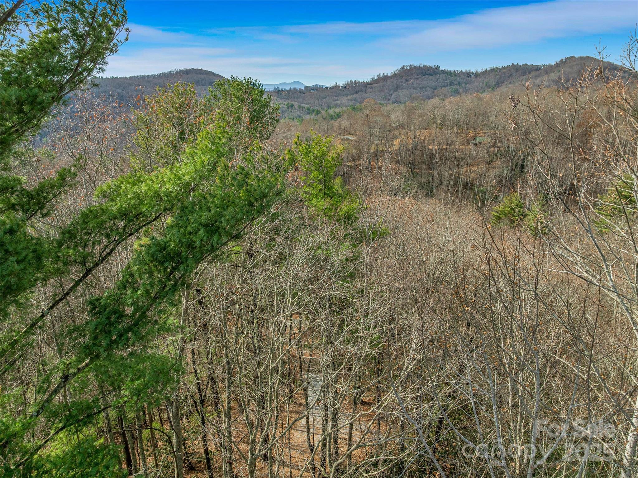 9999-13 Bob Barnwell Road Asheville, NC 28803 - Photo 10 of 24 a view of mountain with lake view