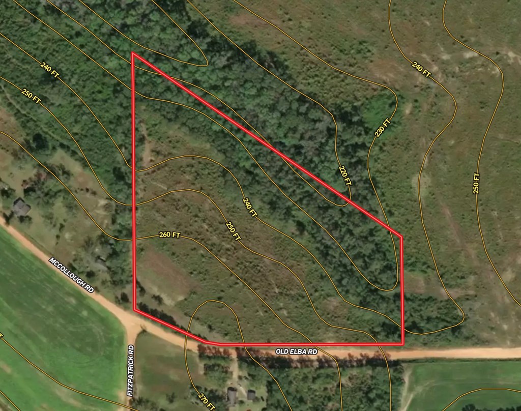 5-acres Old Elba Road Coffee Springs, AL 36318 - Photo 5 of 18