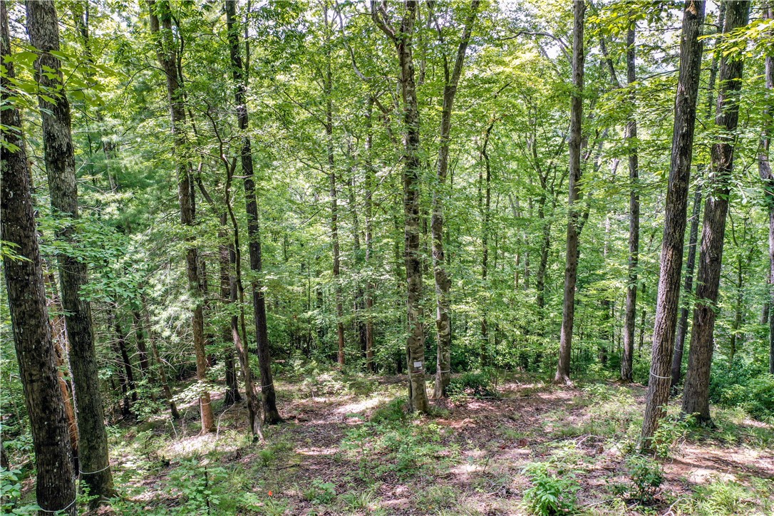 533 Shooting Tree Way Salem, SC 29676 - Photo 13 of 50 Gallery Image 13