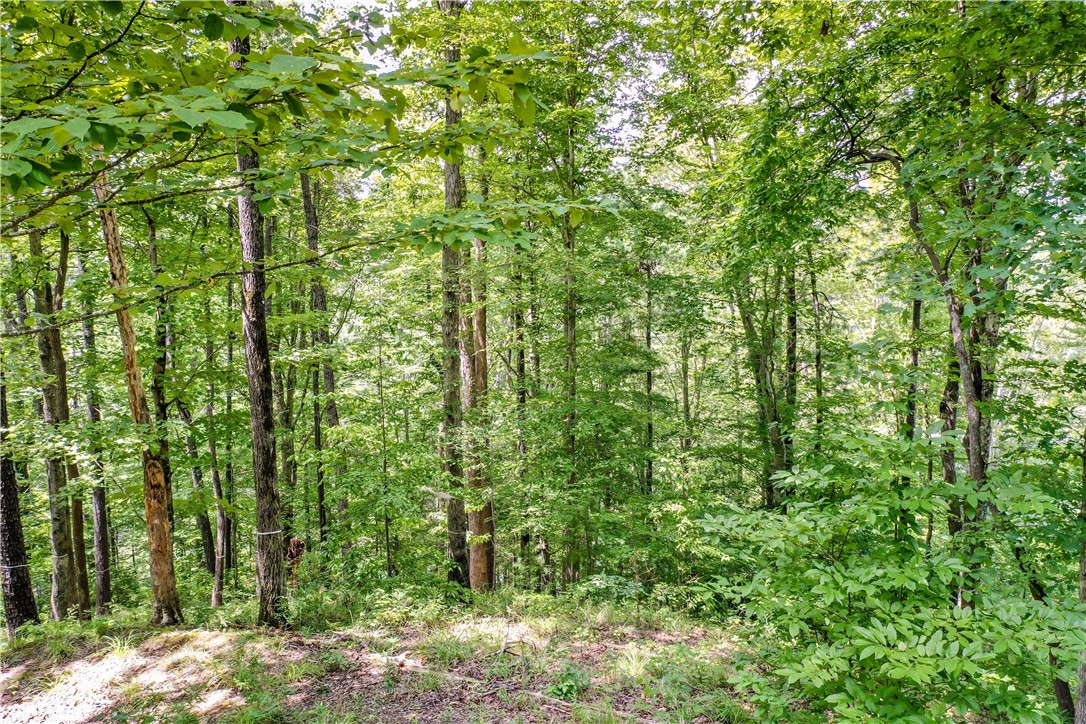 533 Shooting Tree Way Salem, SC 29676 - Photo 10 of 50 Gallery Image 10