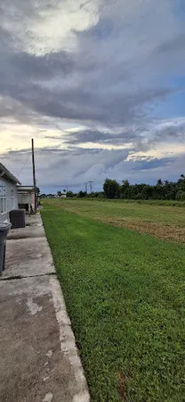 a view of a house with a yard and palm trees