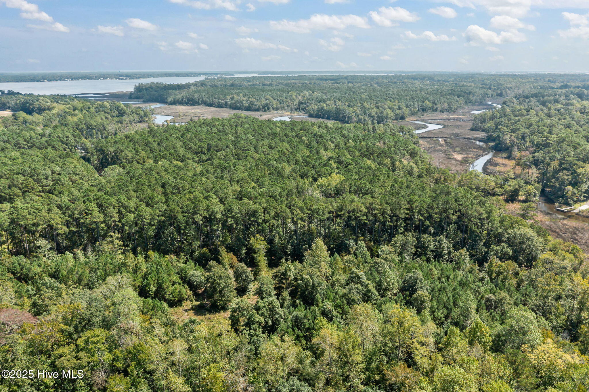238 Mill Creek Road Stella, NC 28582 - Photo 11 of 25 238 (8)