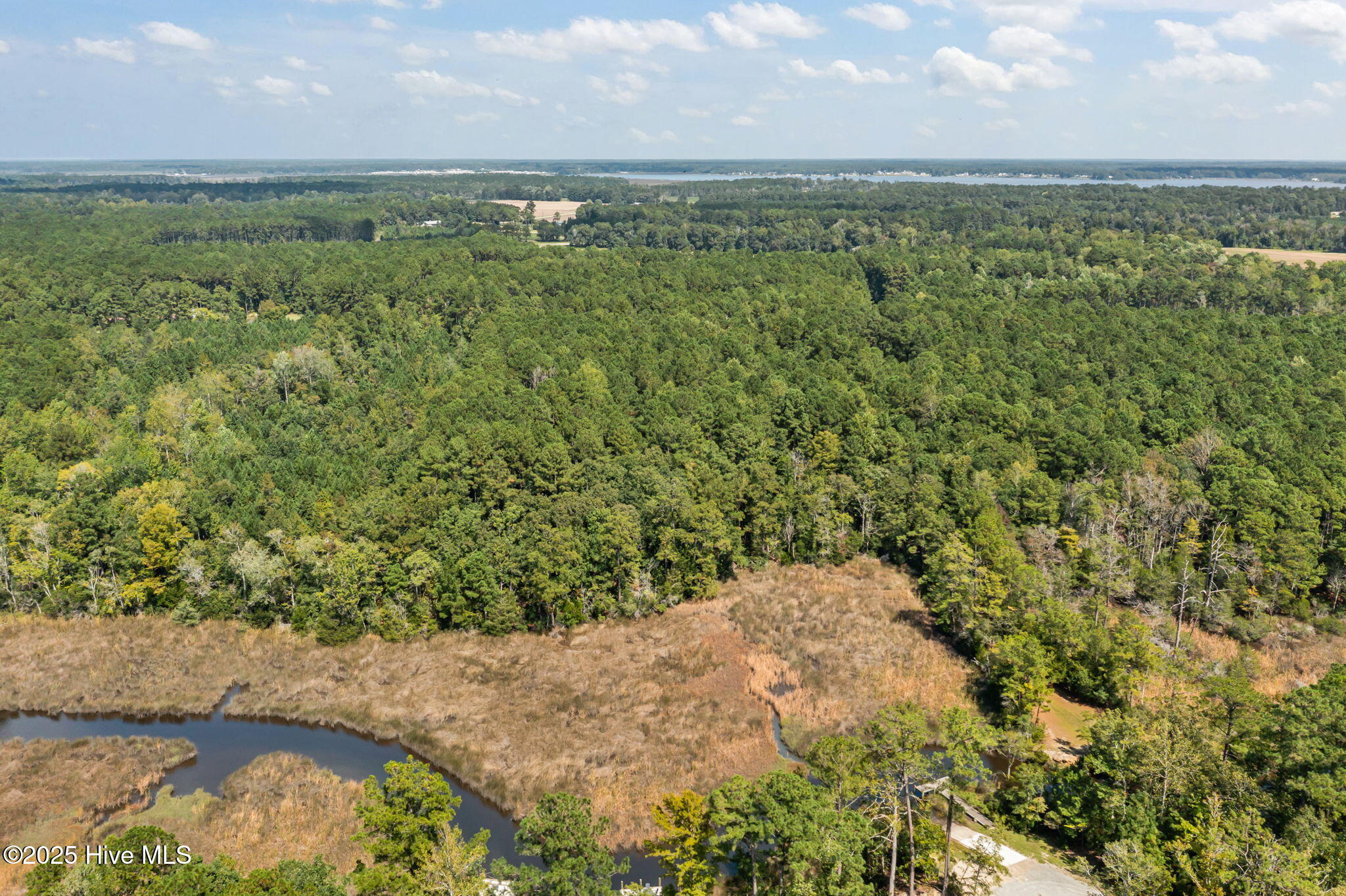 238 Mill Creek Road Stella, NC 28582 - Photo 12 of 25 238 (10)