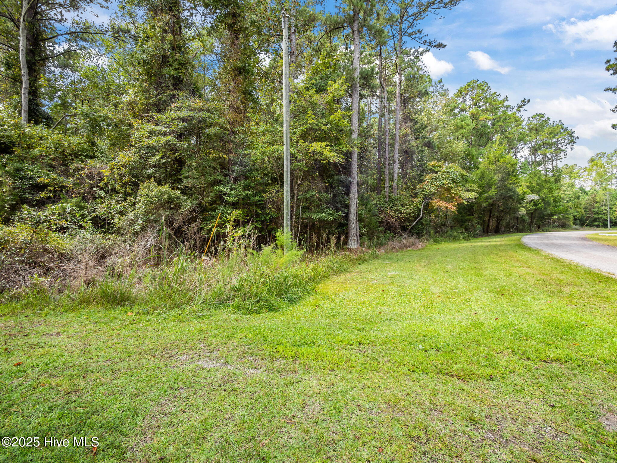 238 Mill Creek Road Stella, NC 28582 - Photo 15 of 25 238 (13)