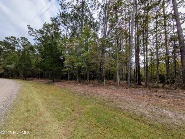 $280,000 | 238 Mill Creek Road, Stella, NC 28582