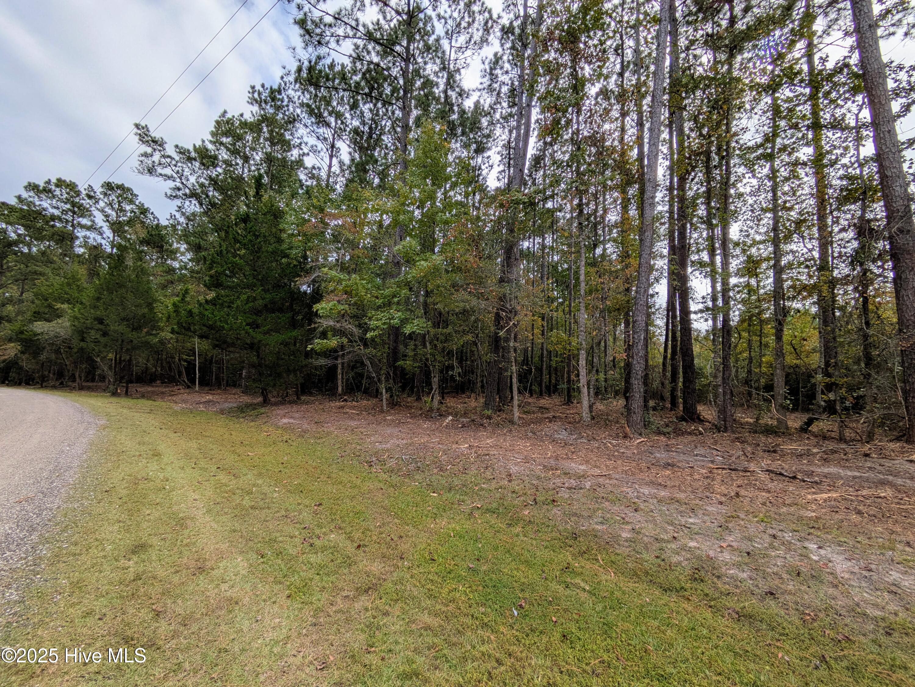 238 Mill Creek Road Stella, NC 28582 - Photo 18 of 25 238 2 (2)