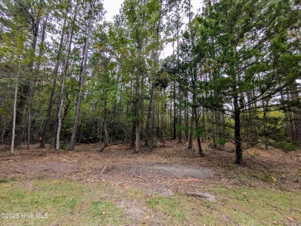 $280,000 | 238 Mill Creek Road, Stella, NC 28582