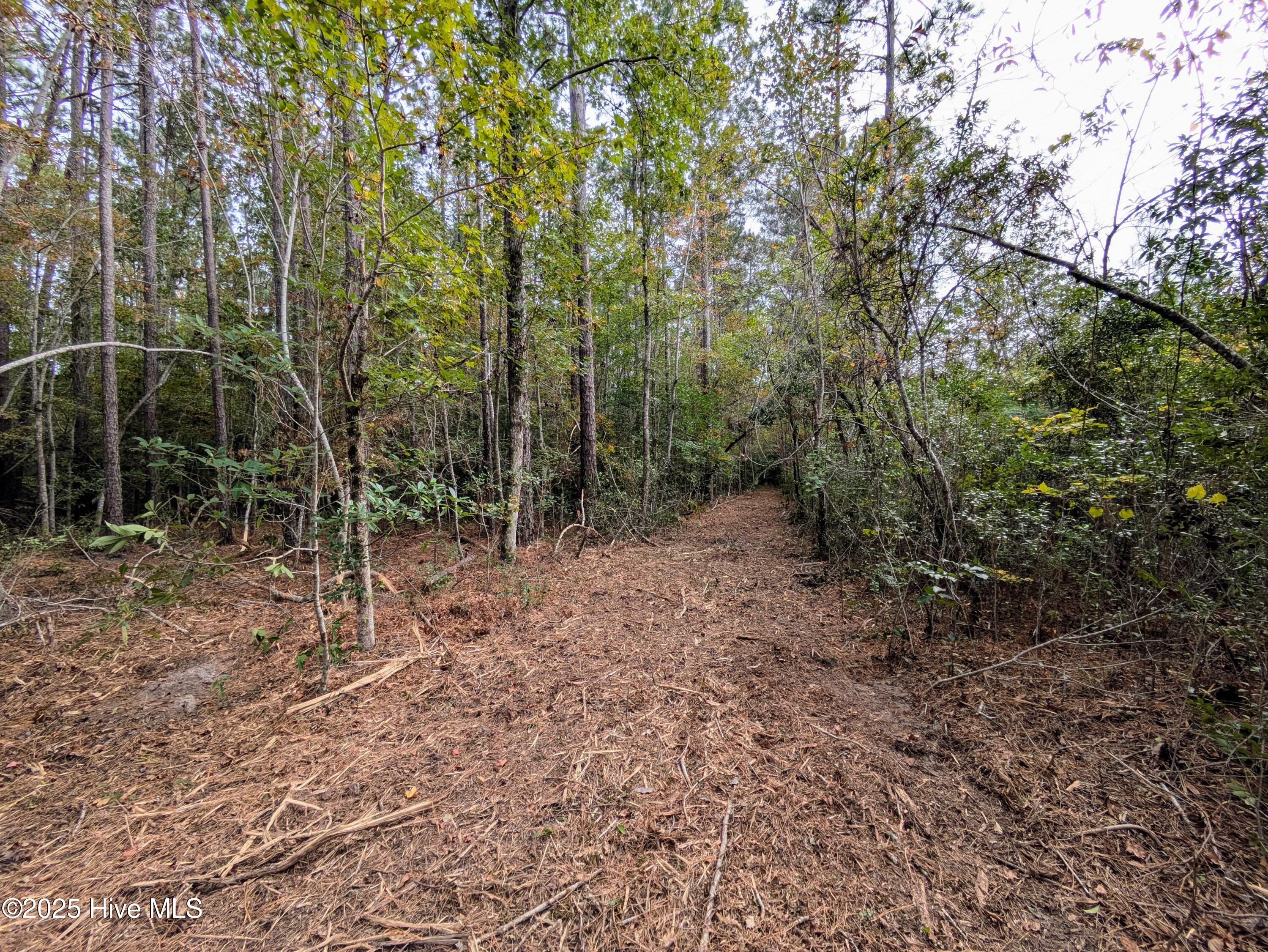 238 Mill Creek Road Stella, NC 28582 - Photo 20 of 25 238 2 (4)