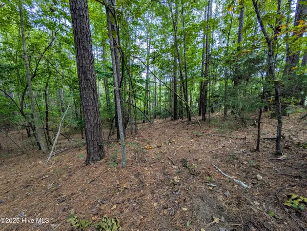 $280,000 | 238 Mill Creek Road, Stella, NC 28582