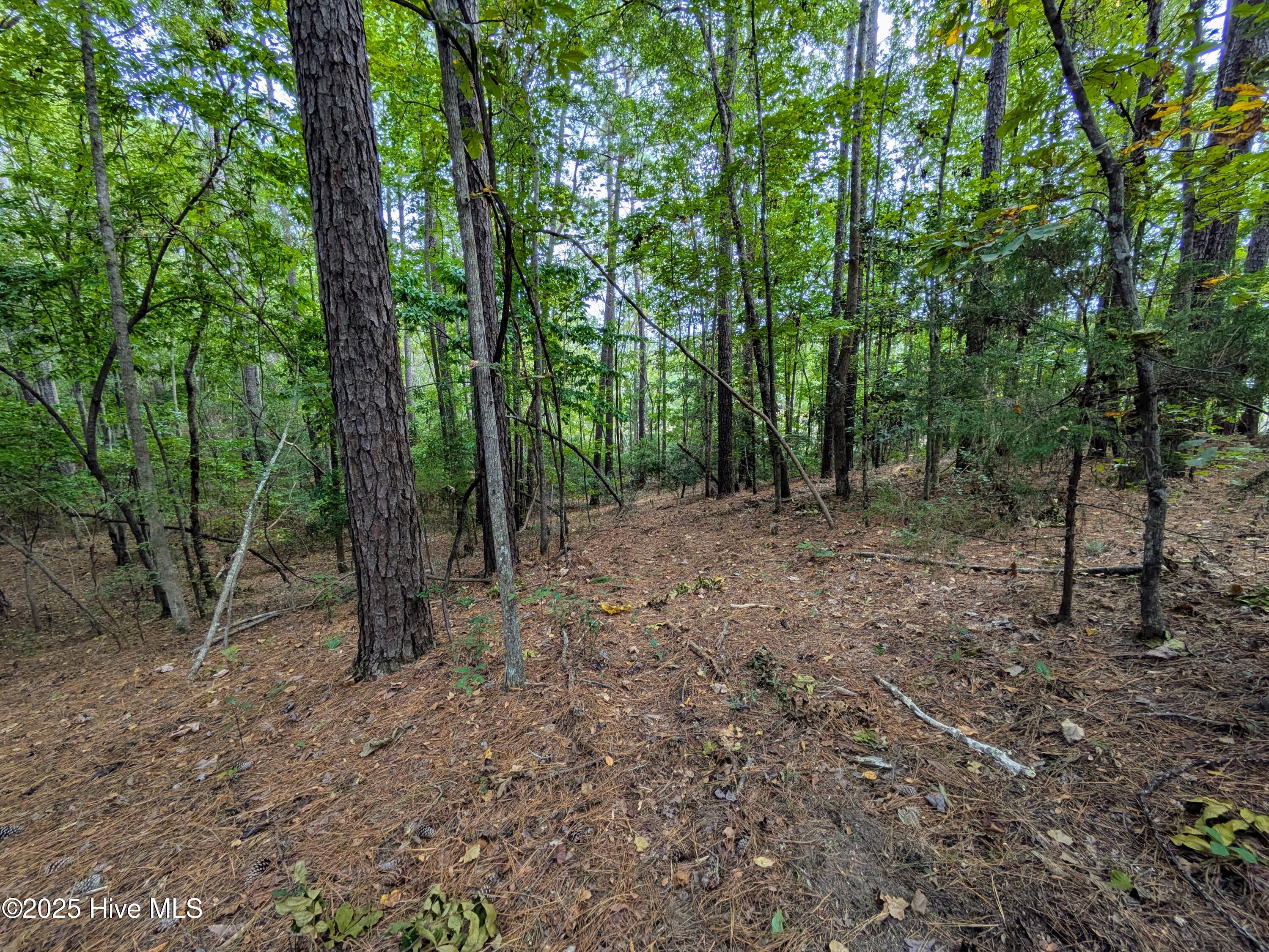 238 Mill Creek Road Stella, NC 28582 - Photo 21 of 25 238 2 (5)