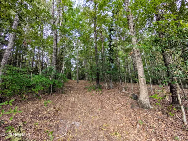 $280,000 | 238 Mill Creek Road, Stella, NC 28582